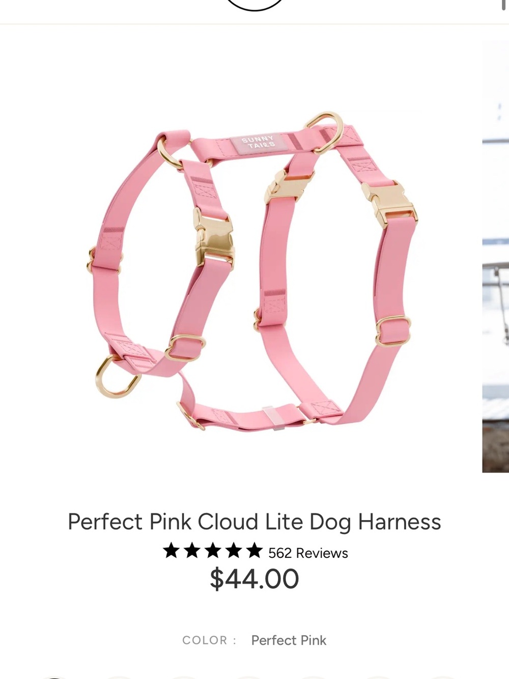 Perfect Pink Dog Harness with Gold Hardware